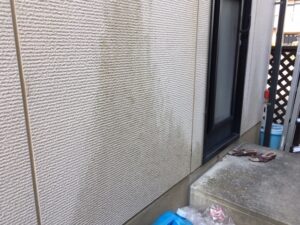 外壁に発生した雨染みと藻・コケによる劣化・汚れの状態